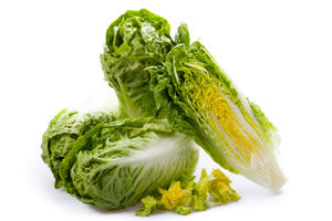 Cogollo de lechuga 
