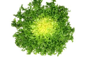 Escarola