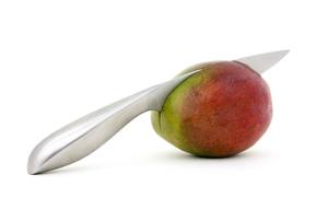 Puntilla