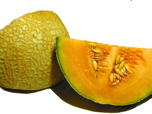 Melón francés